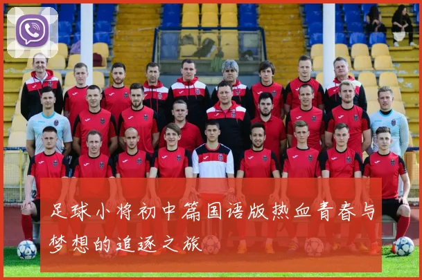 足球小将初中篇国语版热血青春与梦想的追逐之旅