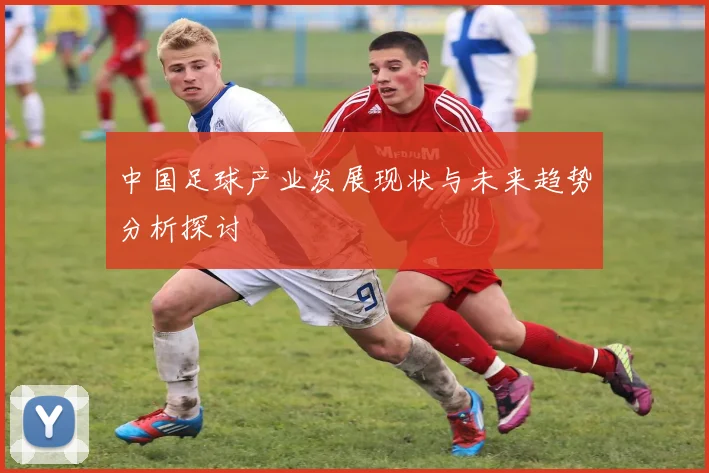中国足球产业发展现状与未来趋势分析探讨