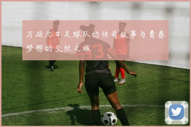 万延元年足球队的传奇故事与青春梦想的交织之旅