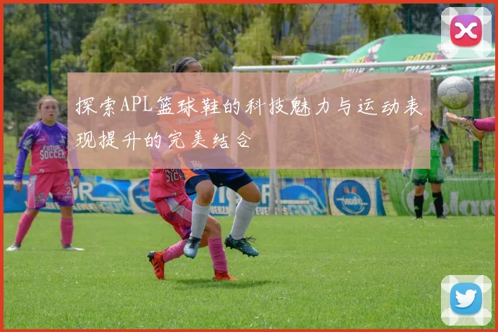 探索APL篮球鞋的科技魅力与运动表现提升的完美结合